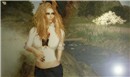 " The Stream"