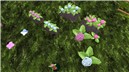 Hydrangea_001