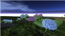 Hydrangea_002