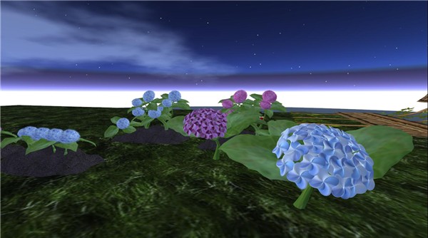 Hydrangea_002