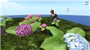 Hydrangea_004