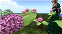 Hydrangea_006
