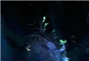 Seadryke 5