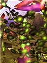 scarp's_003