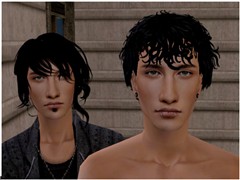 The  twins