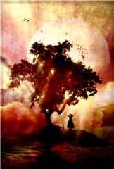 embryo island