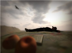 Nap on the Beach