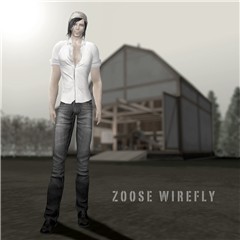 Zoose Wirefly Portfolio 3