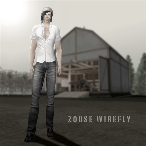 Zoose Wirefly Portfolio 3