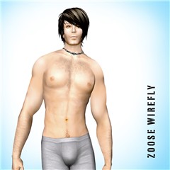 Zoose Wirefly Portfolio 4