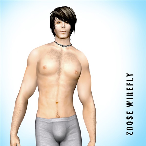 Zoose Wirefly Portfolio 4