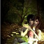 in the forest