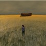 wheatfield_003