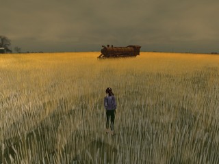 wheatfield_003