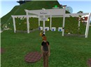 virtualcell_002