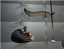 Snapshot_121