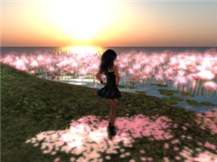 Tempura Island_008