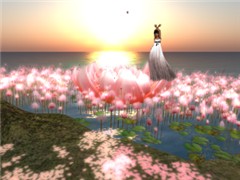 Tempura Island_009