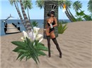beach shot_001