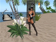 beach shot_001