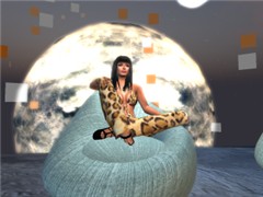 Snapshot_026