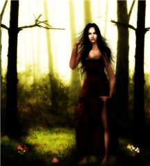 Dance in the wood