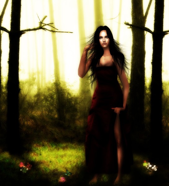 Dance in the wood