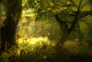 Secret Garden
