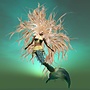 3star hair
