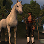 The horse, the torero and the laundry