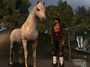 The horse, the torero and the laundry