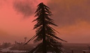 One Tree