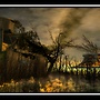 Forgotten Carnival