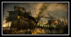Forgotten Carnival