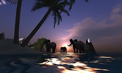 going home