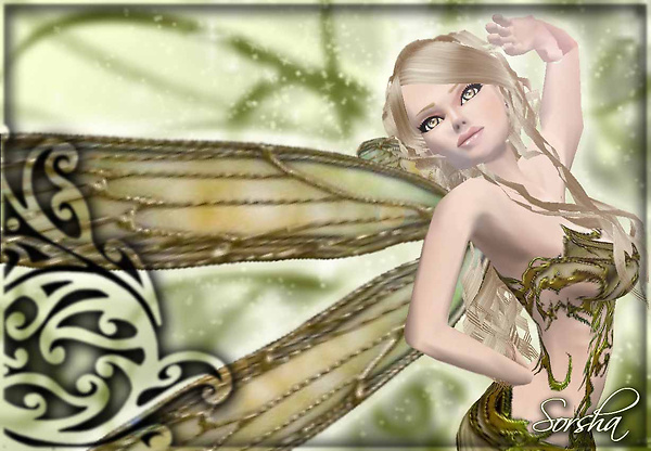 dragonfly