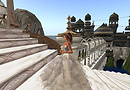 White Taj_008