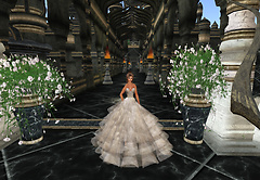 Black Taj_006