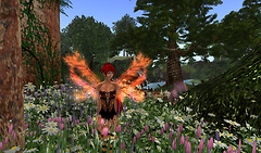 faery shots