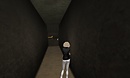 walking to king tut virtual