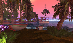 Tropical night