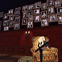 the gallery