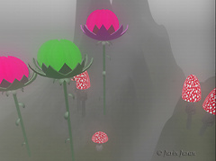 through the fog