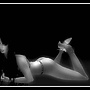 Snapshot_088