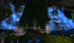 Regulus in the Garden of Midnight