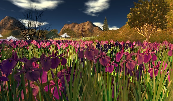 flowers