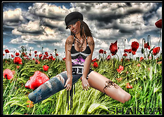 Poppy Fields