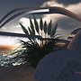 Alexander Beach_1