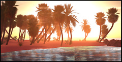 Summer Sunset