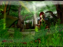 In my Forest